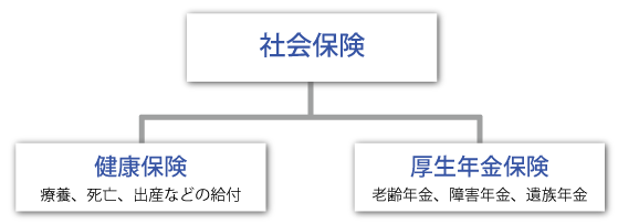 社会保険説明